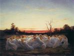 Fairy Ring