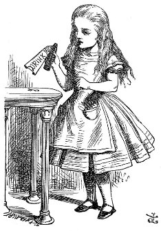 who is the author of alice in wonder world