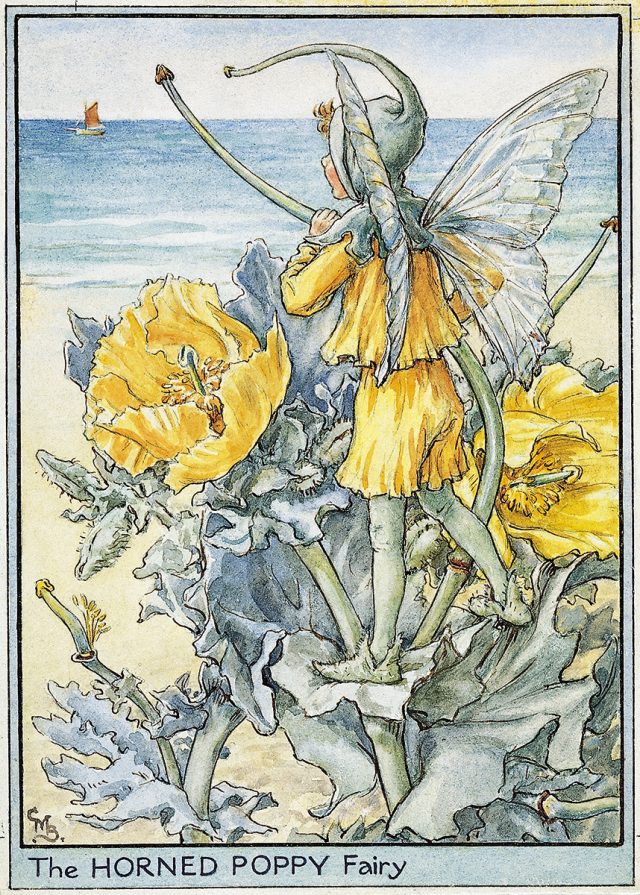 Fairies of the Wayside