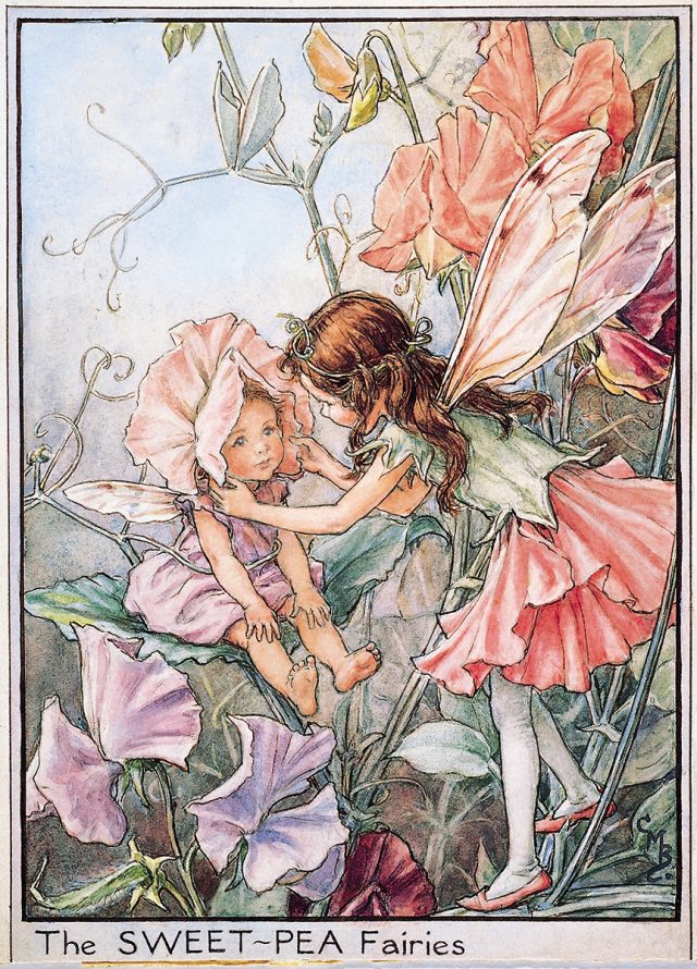 Fairies of the Garden