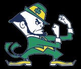 The Fighting Irish Leprechaun