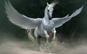 White Pegasu,s a winged horse