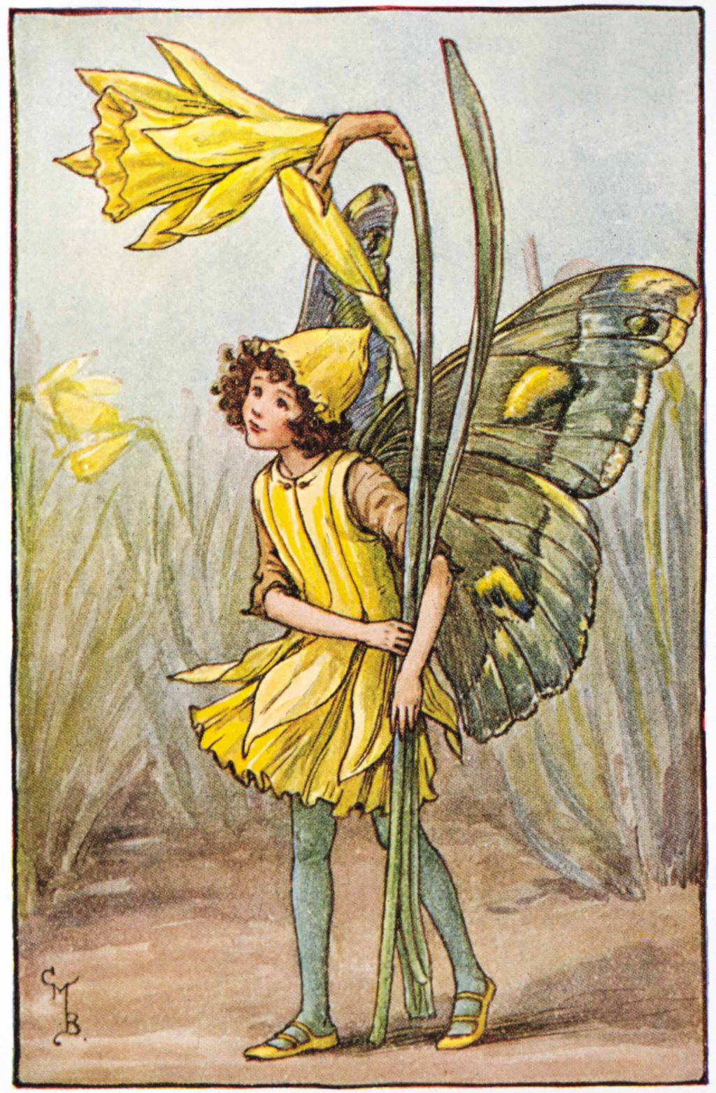 The Daffodil Fairy