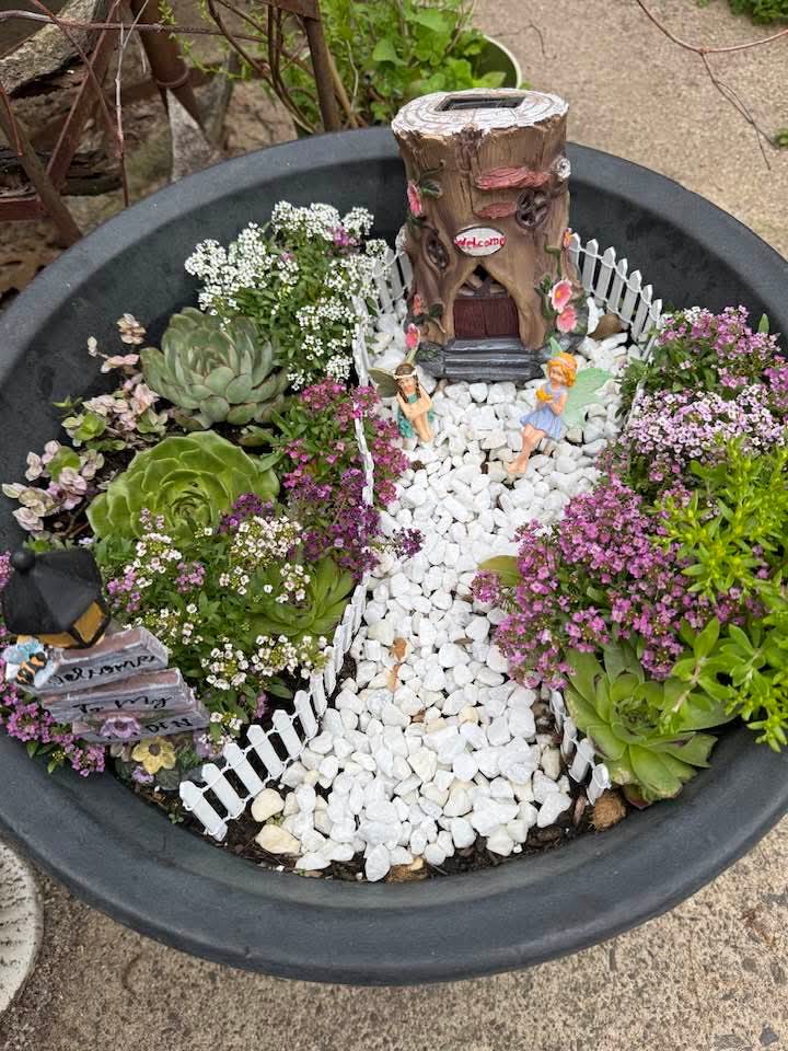 A fairy garden