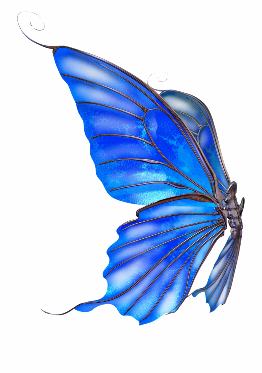 side view of fairy wings
