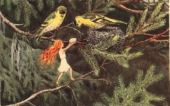 Fairy in a tree with birds