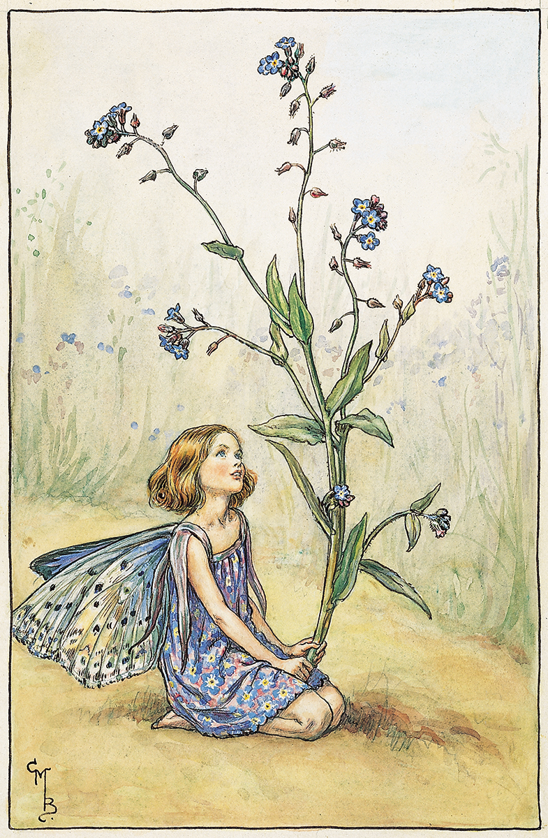 Forget Me Not Fairy