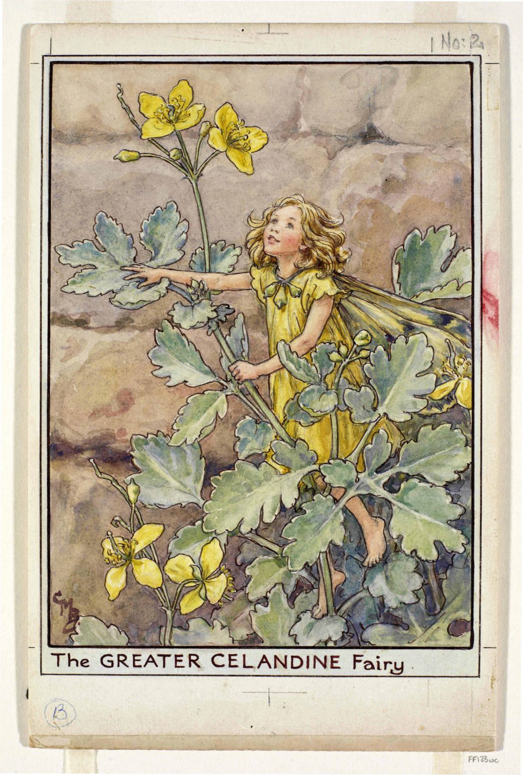 Greater Celandine Fairy