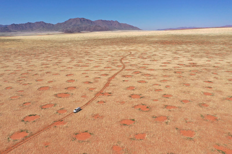 namib desert fairy circles