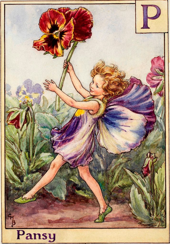 Pansy Fairy