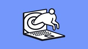 rabbit jumping into a laptop