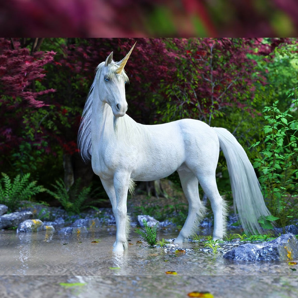 A white Unicorn