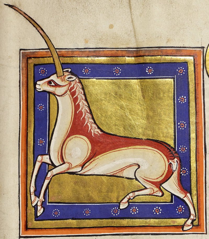 history of the unicorn