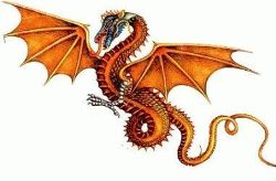 An orange dragon