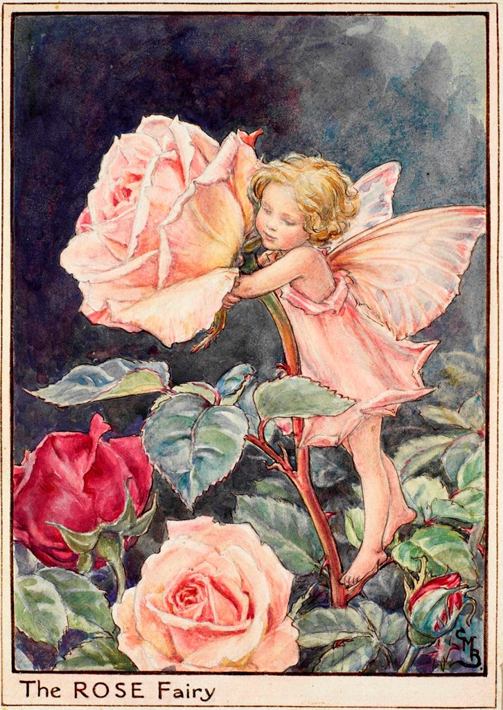 The Rose Fairy
