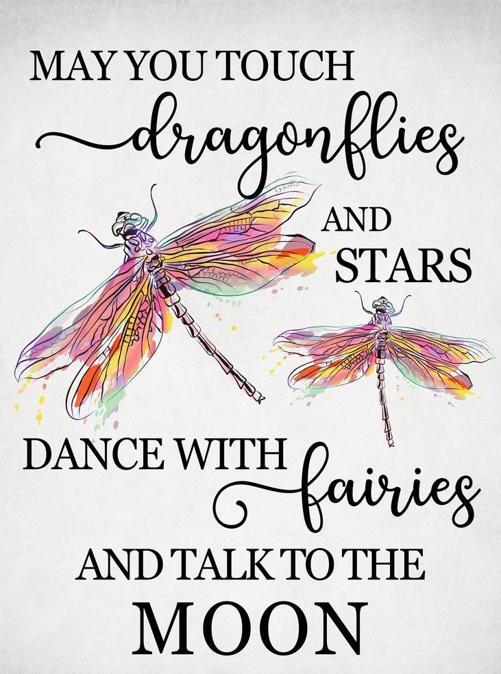 quote about dragonflies