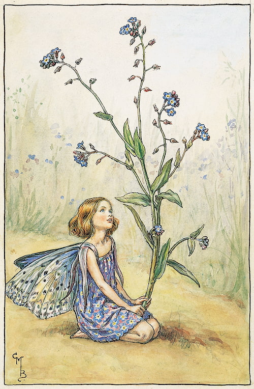 Forget Me Not Fairy