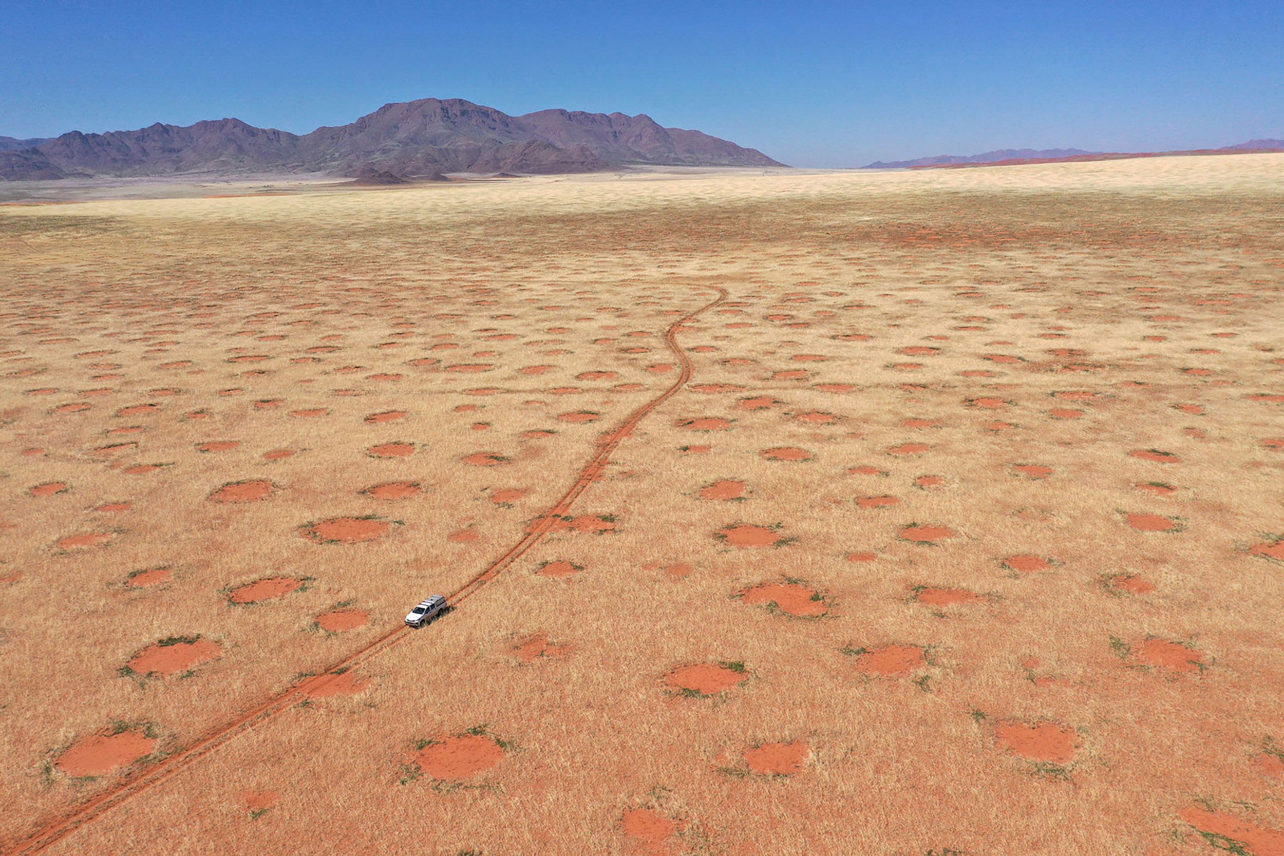 namib desert fairy circles