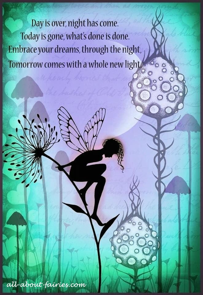 Quote the day is over