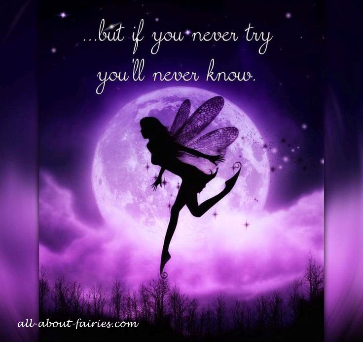 Quote If you Never Try