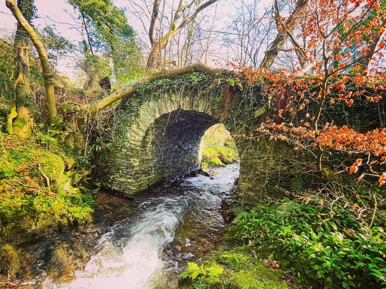the real fairy bridge