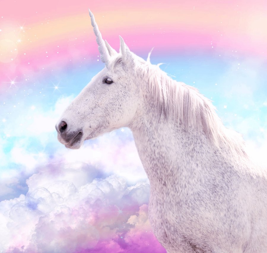 A Unicorn